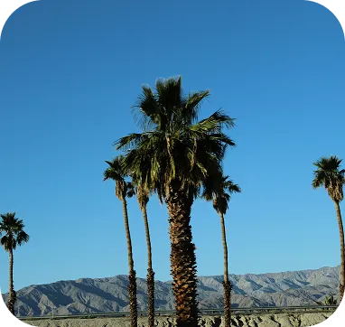 Bermuda Dunes Thumbnail